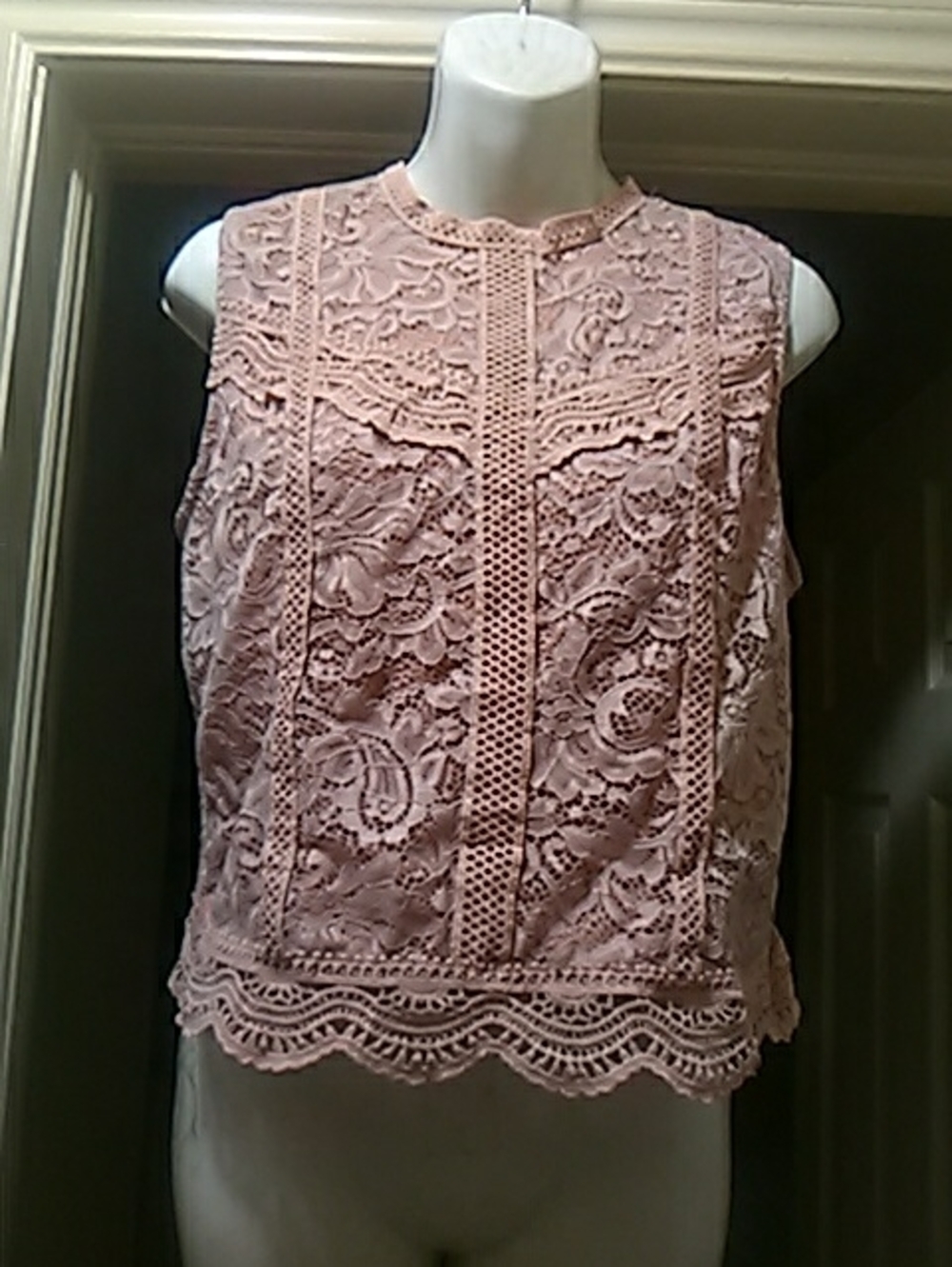 💲8⃣▶▶Ardene Blush Pink Lace Sleeveless Camisole